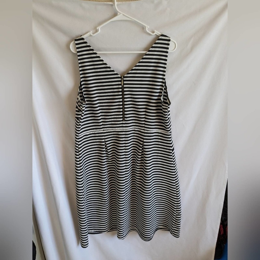 Lane Bryant‎ Dress Size 16 Stripe